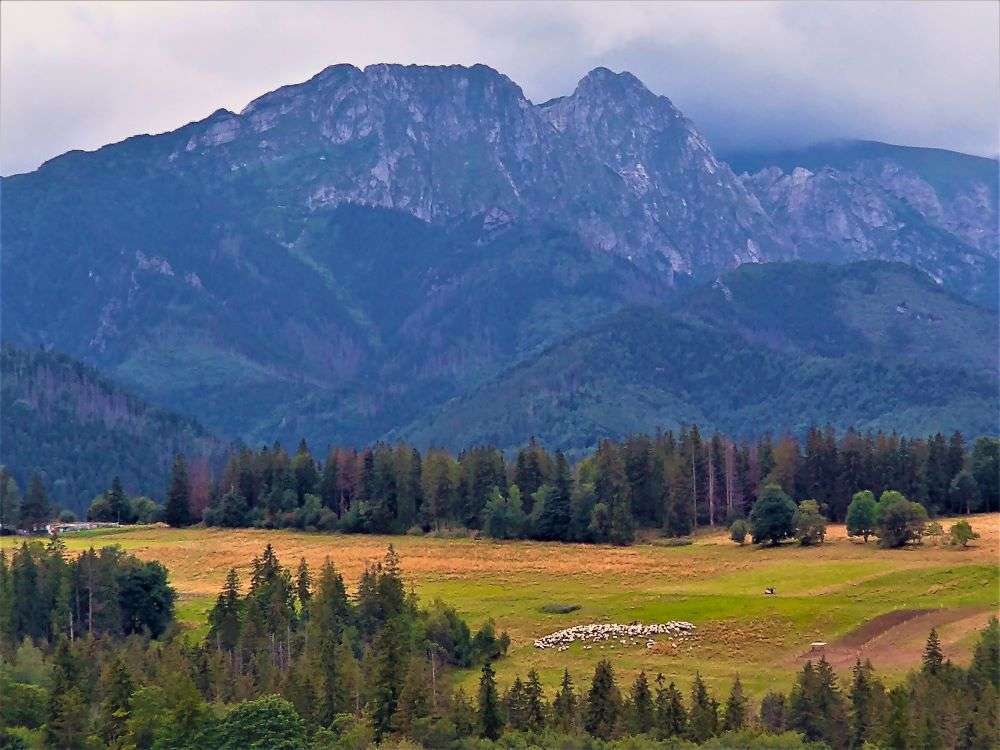 zakopane bachledzki wierch punkt widokowy